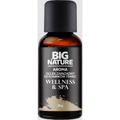 Big Nature Olejek zapachowy Wellness & Spa 30 g