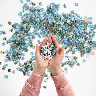 Puzzle Puzzlove CzuCzu 1000 el. Miasto Warszawa Bright Junior Media