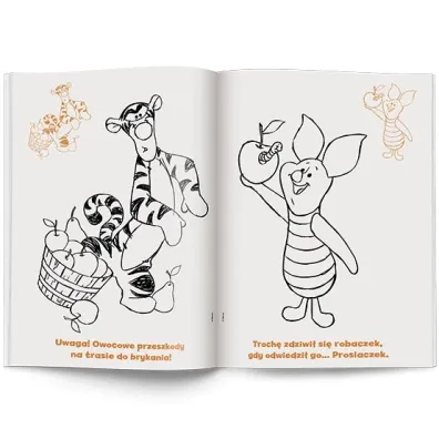 Disney Kubu� i przyjaciele Kolorowanka z naklejkami NA-9147