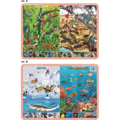 Visual System Podk�adka edukacyjna. Zwierz�ta Amazonii