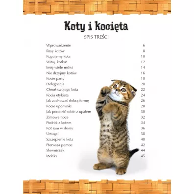 Odkrywanie �wiata. Koty i koci�ta