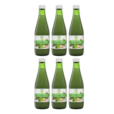 Bio Food Sok z og�rk�w kiszonych Zestaw 6 x 300 ml Bio