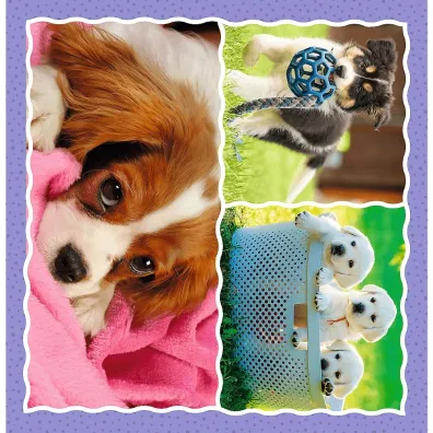 Puzzle 3w1 (20+36+50 el.) Urocze pieski Trefl