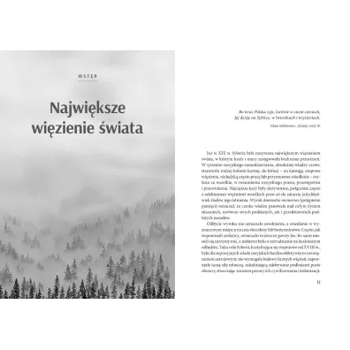 Sybir. Dzieje polskich zes�a�c�w XVIII - XX w.
