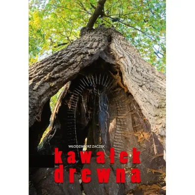 Kawa�ek drewna - W�odzimierz Zaczek
