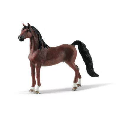 Wa�ach rasy Saddlebred