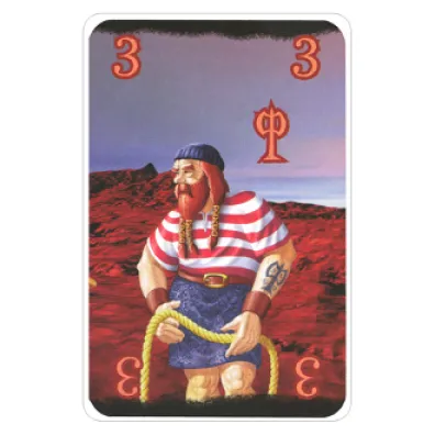 Fantasy Wizard, karty do gry