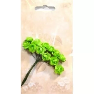 Galeria Hobby R�yczki papierowe jasnozielone 12 szt.