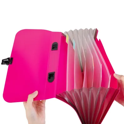 Deli Teczka A4 Rio z r�czk� czarn� 7-przegr�dek r�owa