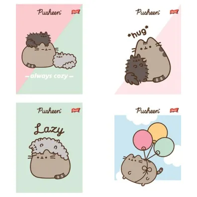 St. Majewski Zeszyt A5 Pusheen linia 32 kartki