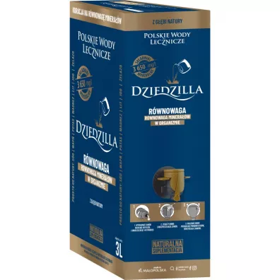 Polskie Wody Lecznicze Woda lecznicza Dziedzilla 3 l