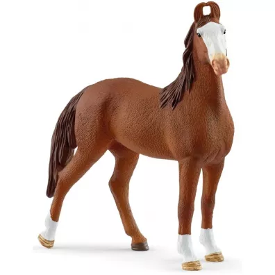 Klacz Marwari Horse Club SLH14897