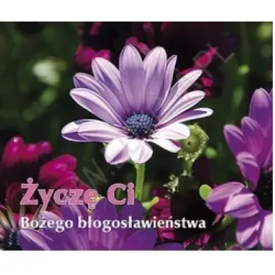 �ycz� Ci Bo�ego b�ogos�awie�stwa. Pere�ka 215