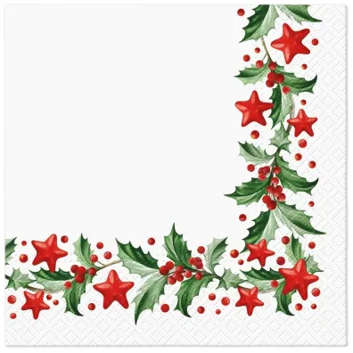 Paw Serwetki BN Lunch Tete a Tete Holly and Stars 33x33 20szt./op.
