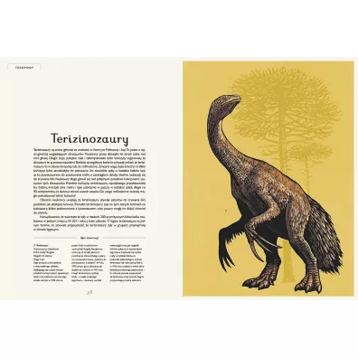 Dinozaurium. Muzeum Dinozaurw