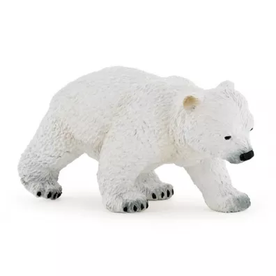 Nied�wied� polarny m�ody