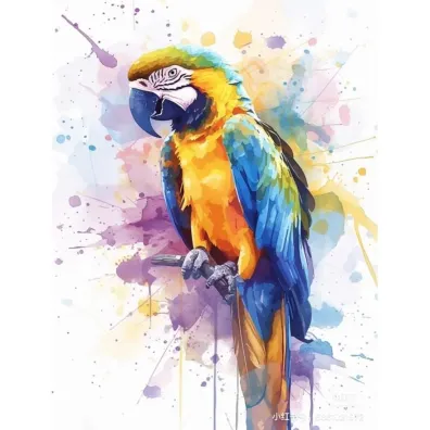 Koh-I-Noor Malowanie po numerach - Papuga 40x50cm