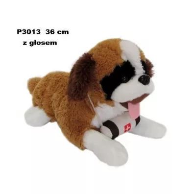 Bernardyn z gosem 36cm Sun-Day