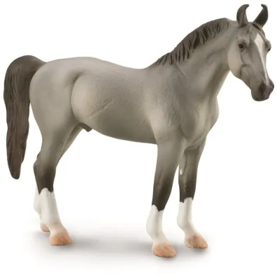 Ko� Marwari Stallion szary