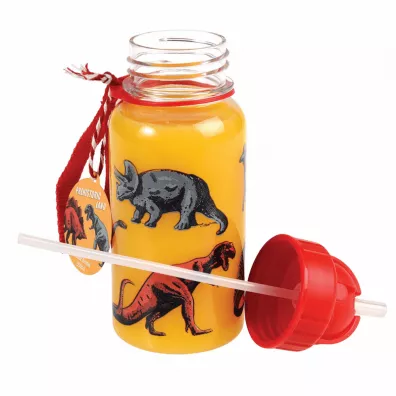 Rex London Bidon ze somk Dinozaury 500 ml