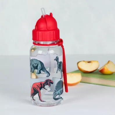 Rex London Bidon ze somk Dinozaury 500 ml