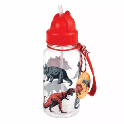 Rex London Bidon ze somk Dinozaury 500 ml