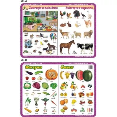 Visual System Podk�adka edukacyjna. Warzywa, owoce, zwierz�ta