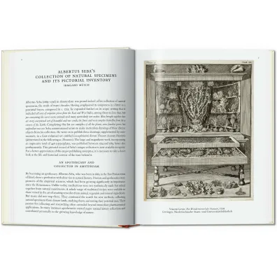Cabinet of Natural Curiosities wer. angielska
