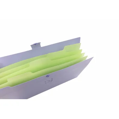 Beniamin Teczka plastikowa A4 z 5 przegr�dkami fioletowa
