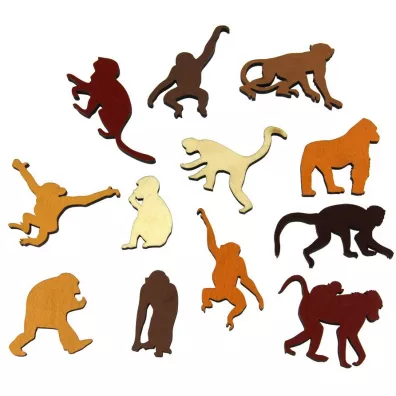 �amig��wka Monkey Business Recent Toys