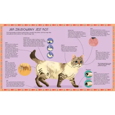 Atlas kot�w. Rasy z ca�ego �wiata