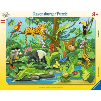 Puzzle 11 el. Co tu pasuje? Zwierz�ta lasu deszczowego Ravensburger