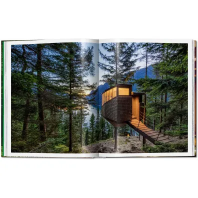 Modern Tree Houses