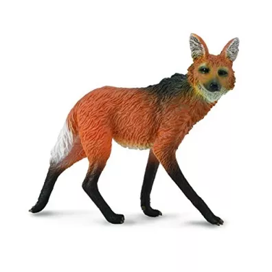 Wilk grzywiasty