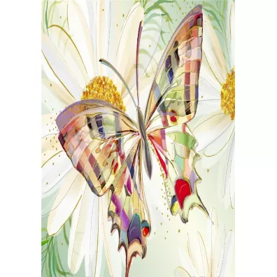 Turnowsky Karnet B6 + koperta Motyl kwiaty