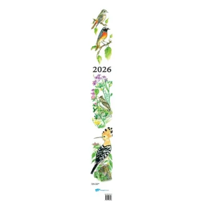 Kalendarz 2026 Ptaki