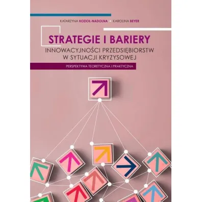 Strategie i bariery innowacyjno�ci przedsi�biorstw - Katarzyna Kozio�-Nadolna, Karolina  Beyer