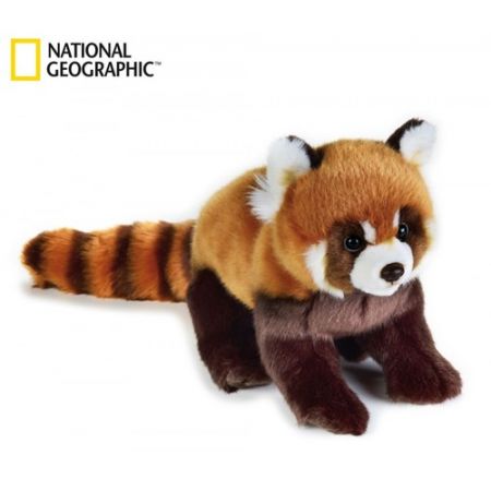Plusz Basic Panda czerwona National Geographic