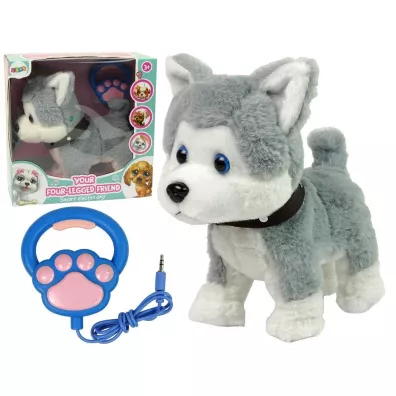 Husky interaktywny