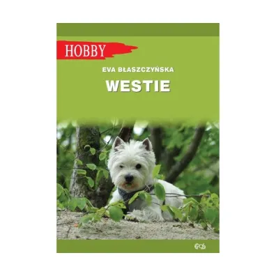Westie. West highland white terrier - Eva B�aszczy�ska