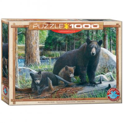 Puzzle 1000 el. New Discoveries by Daniel Eurographics