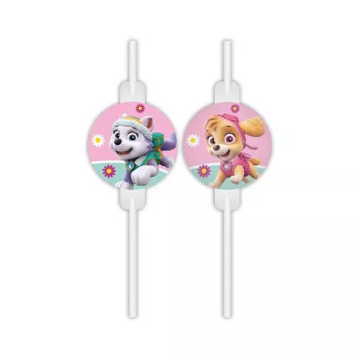 Psi Patrol S�omki papierowe z medalionem Paw Patrol Skye & Everest 4 szt.