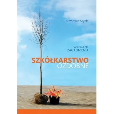 Szk�karstwo ozdobne. Wybrane zagadnienia - Wies�aw  Szyd�o