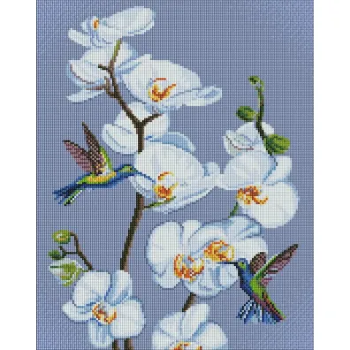 Ideyka Diamentowa mozaika - Kwitn�ce orchidee 40x50cm