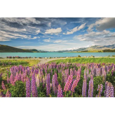 Puzzle 1500 el. HQ Lupins At Lake Tekapo Clementoni