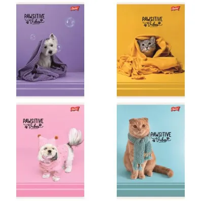St. Majewski Zeszyt A5 32 kartki linia dwukolorowa. Ok�adka laminowana lakier miejscowy UV 70 g/m2. Pawsitive Vib