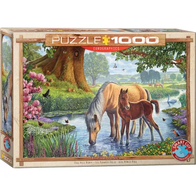 Puzzle 1000 el. Dzikie koniki, Steve Crisp Eurographics
