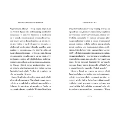 Koniec ko�c�w. Seria niefortunnych zdarze�. Tom 13