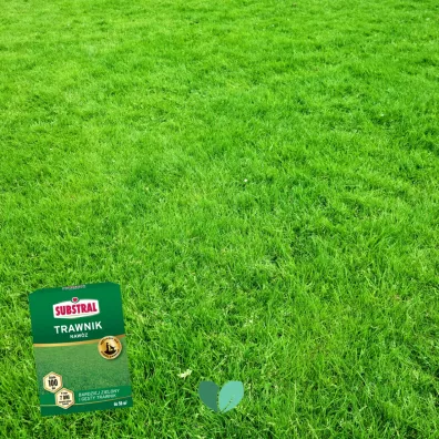 Substral Naw�z do trawnika 100 dni 1 kg