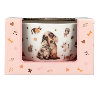 Depesche Miseczka w ozdobnym pude�ku Top Model Fur Ever Friends 13867A